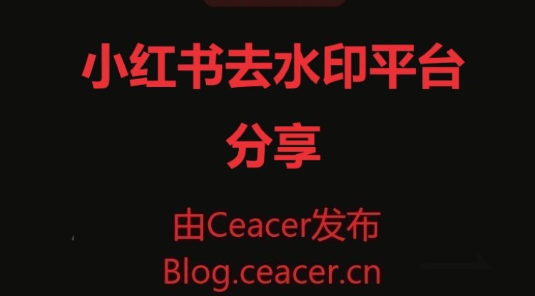 小红书去水印平台分享