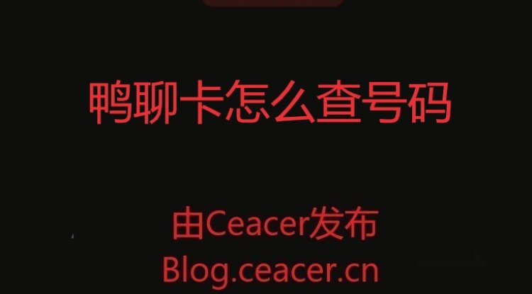 鸭聊卡怎么查号码