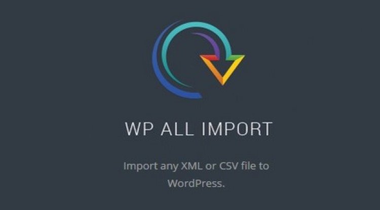 WP All Import Pro v4.11.4