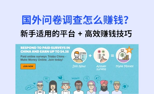新手必看!2025 国外问卷调查怎么赚钱?有哪些平台?
