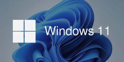 Win11提示错误代码0x8007007B解决方法