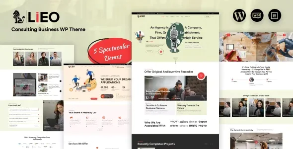 LIEO v1.0.3 - Consulting Theme