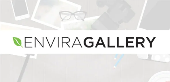 Envira Gallery v1.10.0