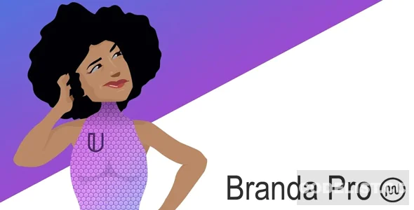 Branda Pro v3.4.21 - WordPress white label branding