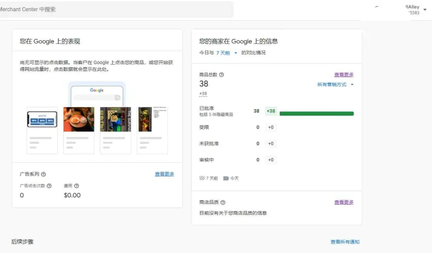 谷歌GMC一审100%过，限wordpress，需要来