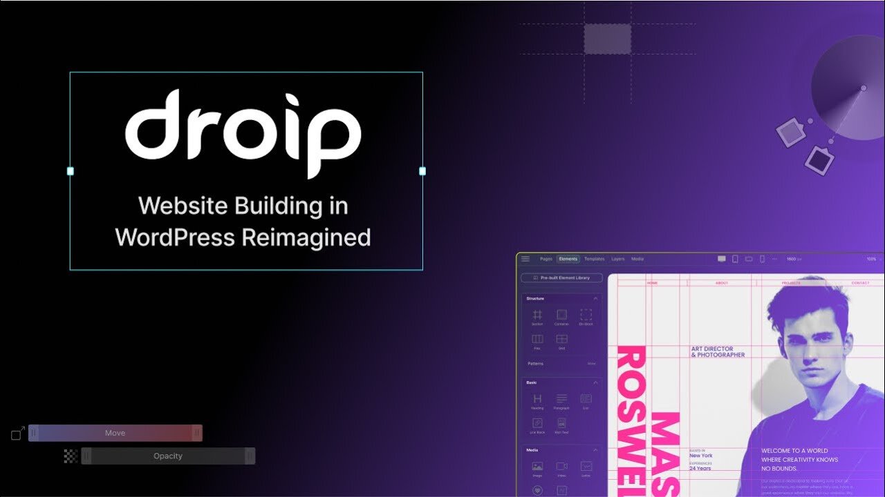 Droip v2.1.6 - No-Code website builder for WordPress