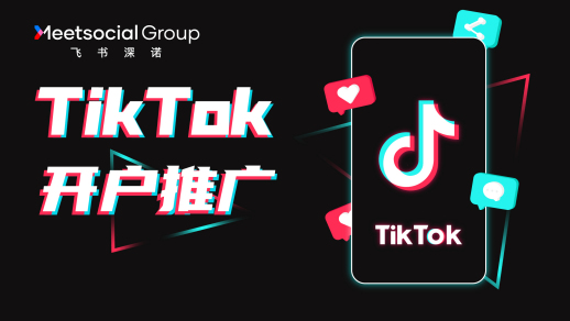 [已解决]关于TIKTOK无法连接以及收益问题