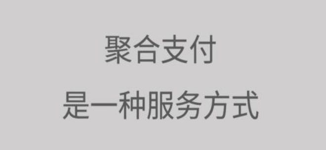 设计聚合支付解决方案，看看有没有适合您使用的呢吗？-第1张图片-Ceacer网络