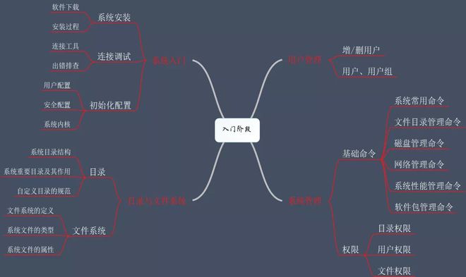 你知道哪个操作系统是世界上最受欢迎的操作系统吗？-第3张图片-Ceacer网络