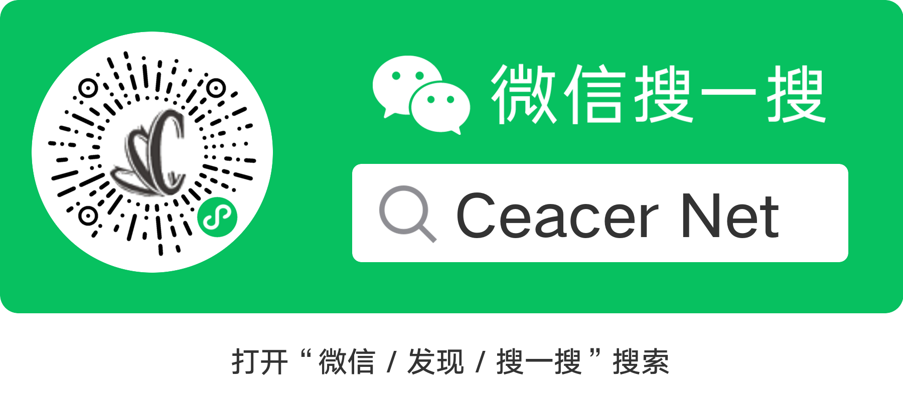 本站小程序已上线，欢迎访问！-第1张图片-Ceacer网络