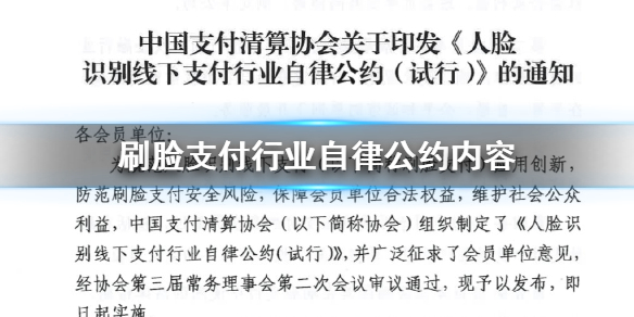 《自律公约》有助于降低消费者对于刷脸支付的疑虑-第4张图片-Ceacer网络