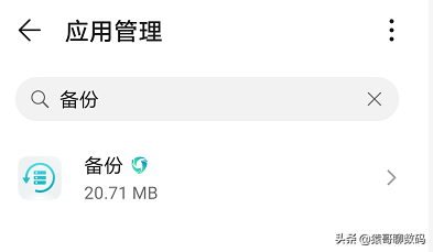 2020年如何让你的、荣耀30系列手机使用谷歌服务助手-第1张图片-Ceacer网络