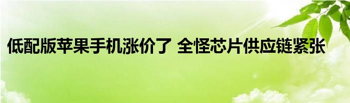 
与此同时SE售价上调30美元，消费者捂住荷包的努力能成功吗？-第1张图片-Ceacer网络