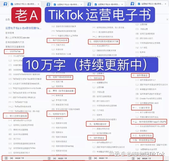 全是Tok京东入驻TikTok老实说跨境入门资料我是老A-第2张图片-Ceacer网络