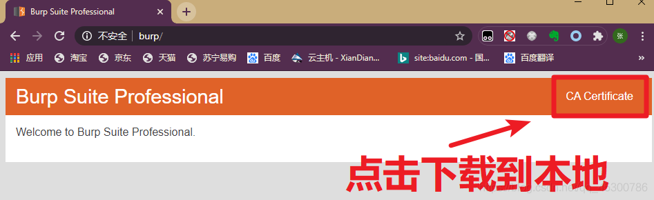 BurpSuite中CA证书的安装，你知道吗？！
-第2张图片-Ceacer网络