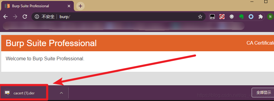 BurpSuite中CA证书的安装，你知道吗？！
-第3张图片-Ceacer网络