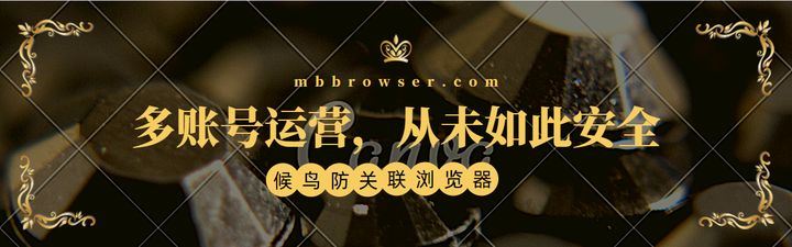 Top1候鸟防关联浏览器（候鸟反指纹浏览器）(组图)-第4张图片-Ceacer网络