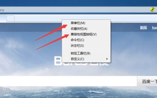 win10系统删除浏览器DNS缓存问题的解决步骤（上）-第1张图片-Ceacer网络