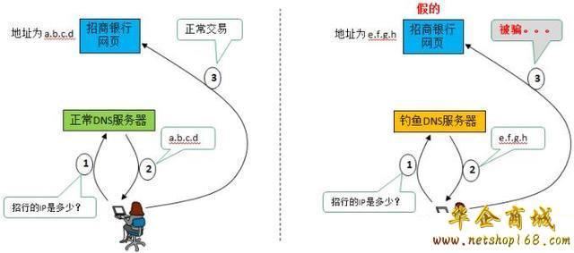 什么时候才需要手动设置DNS地址呢?(一)
-第2张图片-Ceacer网络