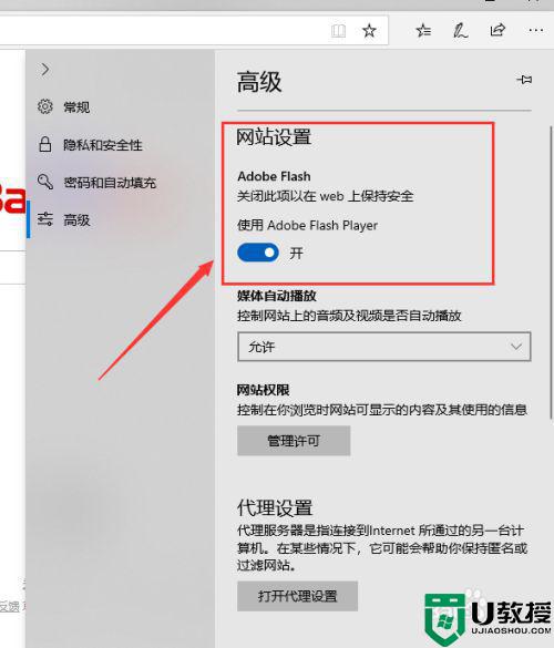 win10系统edge浏览器怎么加载flash插件？教你几招-第9张图片-Ceacer网络