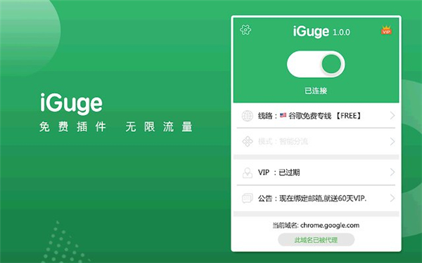 IGG谷歌访问助手插件官方版插件使用方法-第6张图片-Ceacer网络