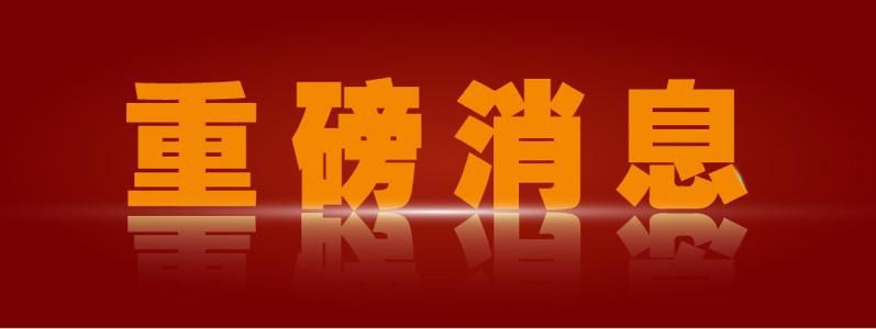 
Mdada：每周收入50万新加坡元-第2张图片-Ceacer网络