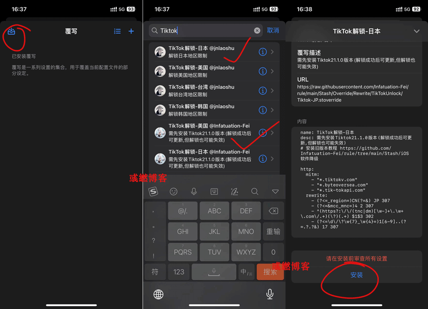 STASH FOR IOS 国内免拔卡使用 TIKTOK 教程-第3张图片-Ceacer网络