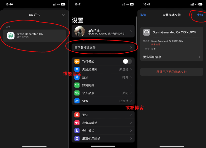 STASH FOR IOS 国内免拔卡使用 TIKTOK 教程-第4张图片-Ceacer网络