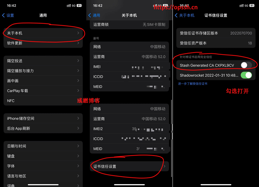 STASH FOR IOS 国内免拔卡使用 TIKTOK 教程-第5张图片-Ceacer网络