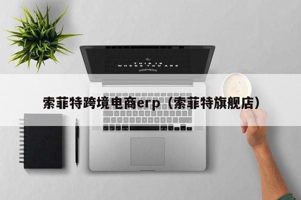 索菲特跨境电商erp（索菲特旗舰店）-第1张图片-Ceacer网络