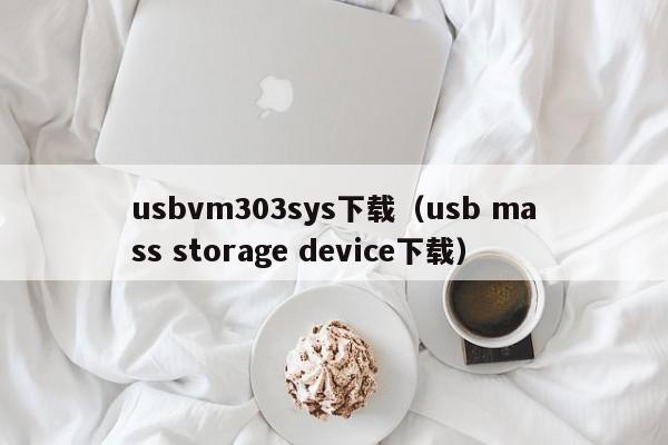 usbvm303sys下载（usb mass storage device下载）