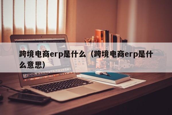 跨境电商erp是什么（跨境电商erp是什么意思）