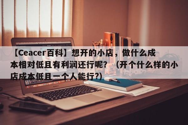 【Ceacer百科】想开的小店，做什么成本相对低且有利润还行呢？（开个什么样的小店成本低且一个人能行?）