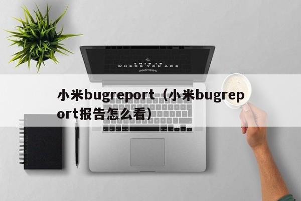 小米bugreport（小米bugreport报告怎么看）-第1张图片-Ceacer网络