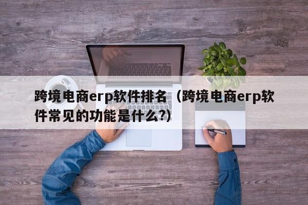 跨境电商erp软件排名（跨境电商erp软件常见的功能是什么?）