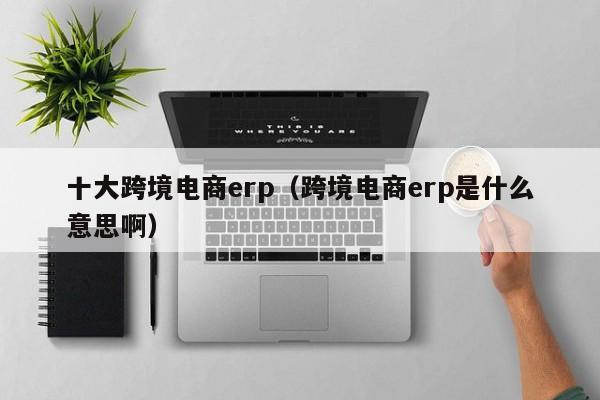 十大跨境电商erp（跨境电商erp是什么意思啊）