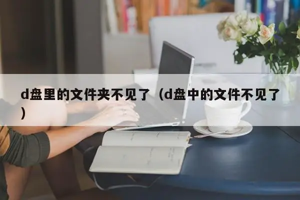 d盘里的文件夹不见了（d盘中的文件不见了）-第1张图片-Ceacer网络