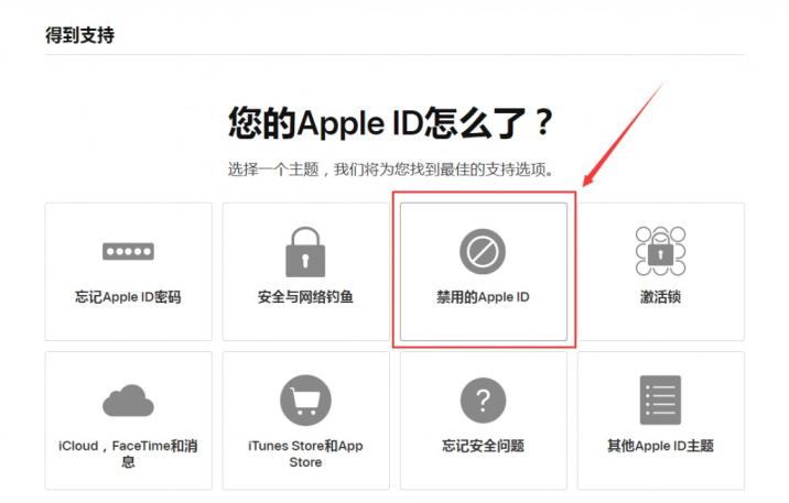 Apple ID提示“这个人不在激活状态”或者“停用”的解决方案-第8张图片-Ceacer网络