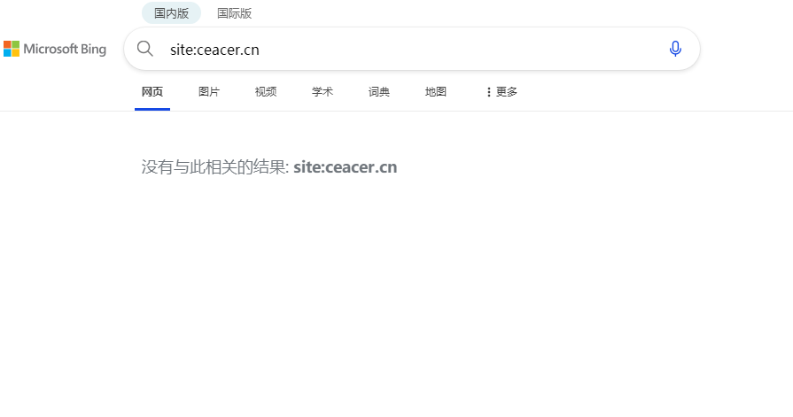 网站被Bing屏蔽的原因及解决方法-第1张图片-Ceacer网络
