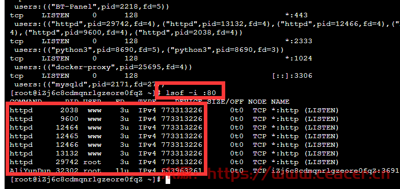 怎么查看 linux 服务器 ip 和端口？-第5张图片-Ceacer网络