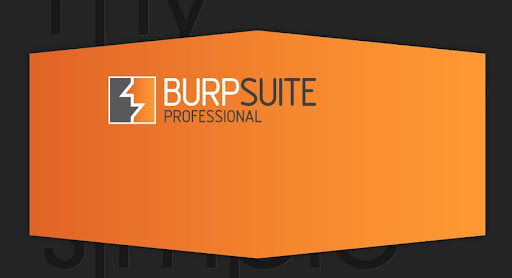 渗透测试神器Burp Suite_Pro v1.7.30破解版发布 -第1张图片-Ceacer网络