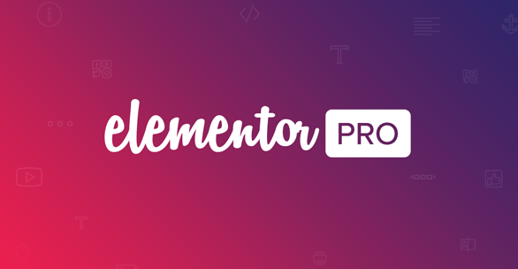 Elementor Pro v3.24.4 WP插件