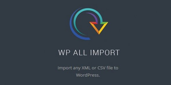 WP All Import Pro v4.9.1 WP数据导入插件beta1.2