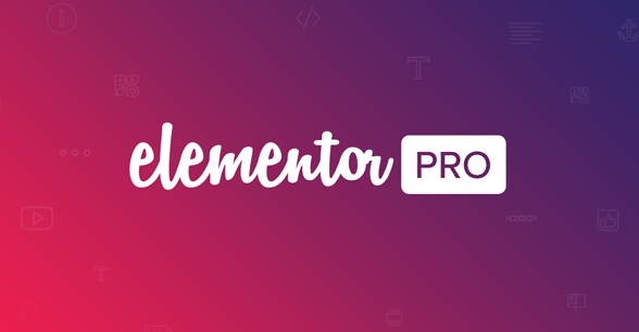 Elementor Pro v3.24.4